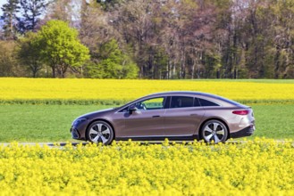 Country road with Mercedes EQS electric car on the Swabian Alb with a field of rapeseed in bloom.