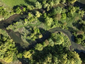 Aerial photograph, top down view of the Radolfzeller Aachried with the Radolfzeller Aach,