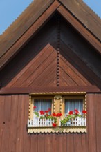 Close-up of a wooden window with red flowers under a blue sky, gable, Old wooden house, Vesec u