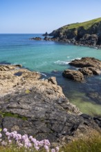 Coastal landscape in Cornwall between Gurnard's Head and Carnelloe Headland. Rose-an Hale Cove,