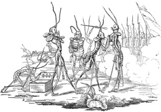 Grasshopper is decorated with a medal, soldiers stand at gunpoint, parable about human life,