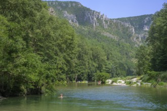 Cooling off in the Tarn River Massegros Causses Gorges, Les Baumes Hautes, Département Lozère,