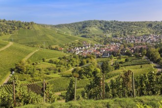 View from Rotenberg, view towards Stetten, vineyards, landscape, Zum Württemberg, near the grave