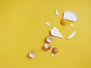 Broken egg plate error concept 404