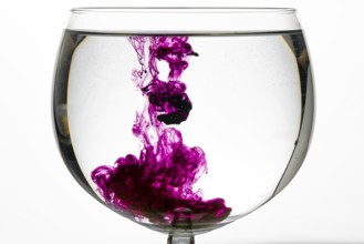 Purple colour unfolds artfully in a glass of water and produces a creative play of colours