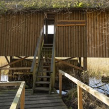 Observation stand on the shore of Lake Rederangsee, Müritz National Park, Mecklenburg Lake