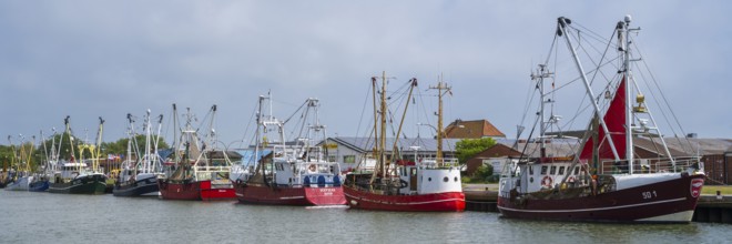 Fishing boats in the fishing harbour, Büsum, North Sea, Schleswig-Holstein, Germany