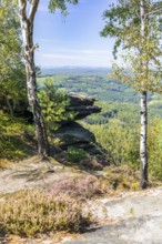 On the Großer Zschirnstein, Reinhardtsdorf-Schöna, Saxon Switzerland, Saxony, Germany