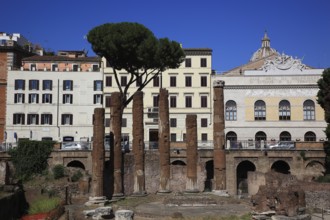 Largo di Torre Argentina, a square in the Pigna neighbourhood of Rome on the ancient Campus