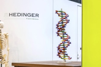 DNA helix structural model. Model for the school subject biology. Scientific teaching aid from