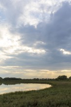 Lake Varchentin, evening mood on the shore, Mecklenburg Lake District, Mecklenburg-Western