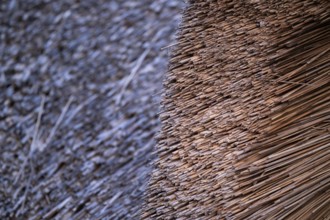 Thatched roof, detail, Søndervig, North Sea, Denmark