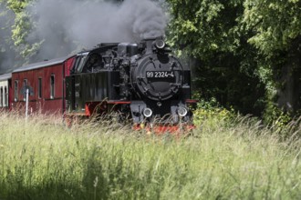 Bäderbahn Molli, Kühlungsborn, Mecklenburg-Vorpommern, Germany