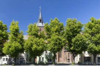 North side of the market square with the town church of St Peter and Paul, Delitzsch, Saxony,