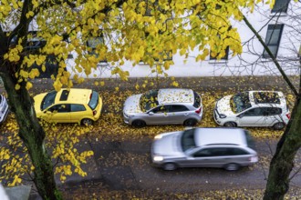 Autumn, rainy weather, residential street, parked vehicles, wet leaves on the street, pavement,