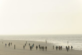 Sports group Nordic walking on the beach, North Sea, Norderney, East Frisian Islands, Lower Saxony,