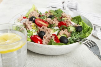 Salad with canned tuna, vegetable salad with quail eggs, lettuce and romaine leaves, red onion,
