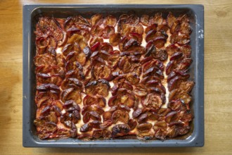 Fresh plum cake on a baking tray, Bavaria, Germany
