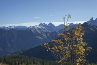 Autumn in the Allgäu, mountain panorama from Fellhorn 2037m, to Öfnerspitze, 2576m, Großer