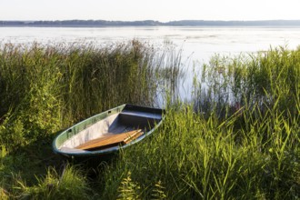 Rowing boat lying in the reeds at the old lido of the Quitzdorf dam, Upper Lusatia, Saxony, Germany