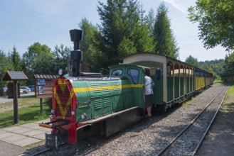 A train stands at a railway keeper's house in the forest, surrounded by summer greenery, diesel