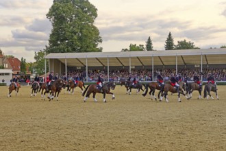 Warendorf State Stud, Stallion Parade, Jacobowski Quadrille