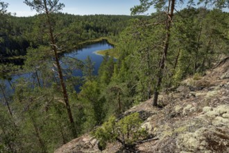 Lake in the forest, Isojärvi National Park, Finland