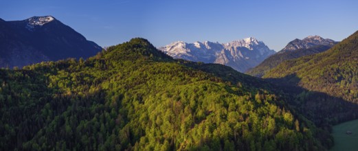 Aerial view, panorama, trees, forest, light green leaves, morning light, mountains, sunny, spring,