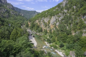 View of the Tarn River from the Pas de Soucy viewing platform, Massegros Causses Gorges,