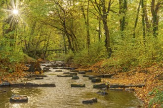 Glacis with flowing Bastau and sun in autumn Minden Germany