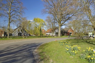 Rural road with spring flowers and half-timbered houses under a blue sky, Rundlingsdorf, Wendland,