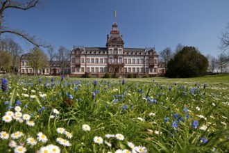 Palace park with Philippsruhe Palace, Historical Museum, Hanau, Hesse, Germany
