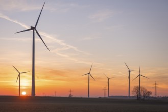 Wind turbines in front of a colourful sunset on the horizon in an open landscape, near Ulm, Swabian