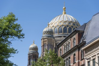 New synagogue in Berlin with golden domes and classical architecture against a blue sky, Berlin,