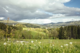 View from the Kostnerhof to Drachselsried, Bavarian Forest, Bavaria, Germany