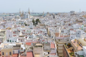 View of the Puente de la Constitución de 1812 bridge from the Torre Tavira tower over the historic