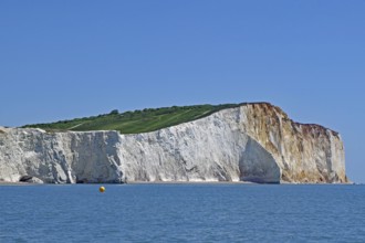 Majestic chalk cliffs above the blue sea under a clear sky, English Channel, Eastbourne, Sussex,