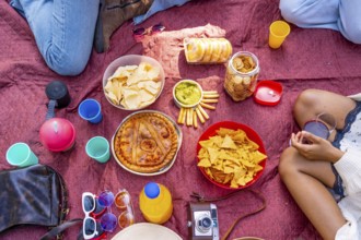 Savory pie, chips, crackers, guacamole, juice, and drinks arranged on a red picnic blanket,