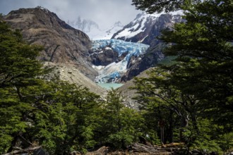 Glacier Piedras Blancas, seen from viewpoint on hike from Hosteria El Pilar to Laguna de Los Tres,