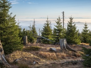 View from the Hochkammweg on the border to the Czech Republic, fog in the lowlands, the Alps in the