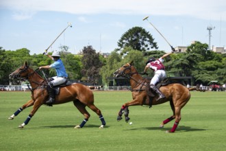 Scene from the 131st Argentine Open Polo Championship (Spanish: Campeonato Argentino Abierto de