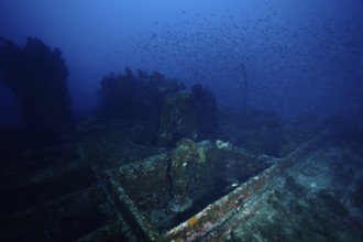 Abandoned shipwreck on the seabed, surrounded by fish, dive site Wreck le Donator, Giens peninsula,