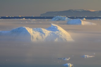 Icebergs in the fog, midnight sun, summer, Ilulissat, Ilulissat Icefjord, Disko Bay, West