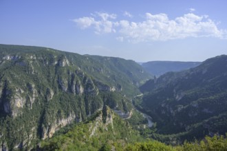 View from Point Sublime into the Tarn Gorge, Massegros Causses Gorges, Point Sublime, Département
