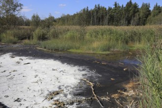 Mineralised water coming to the surface, deposits, formerly boiled down to salts in brewing huts,