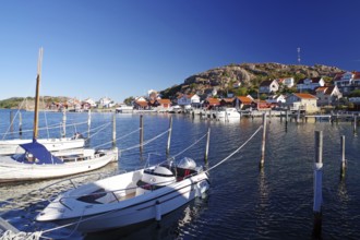Small harbour with white boats and colourful houses on a sunny day, archipelago coast, Hamburgsund,