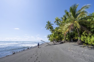 Young woman walking along a sandy beach, tropical rainforest with palm trees on the Pacific coast,