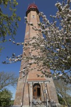 Blossoming apple tree, lighthouse, Flügge, Fehmarn, Schleswig-Holstein, Germany