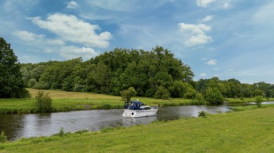 River in the Lower Oder Valley National Park, Criewen, Brandenburg, Germany
