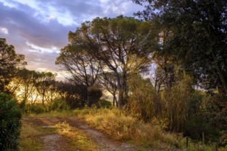 Sunrise at Cruïlles, Costa Brava, Catalonia, Spain